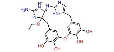 Leucettazole A1